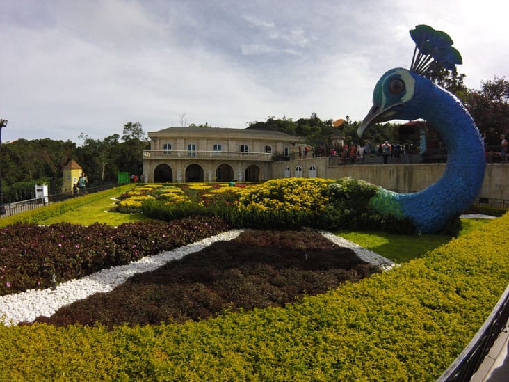 huge bird made with flowers in ba na hills