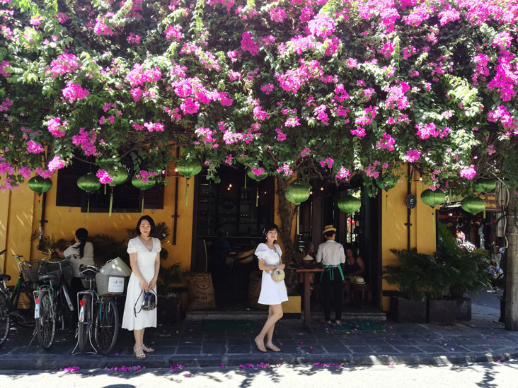 some girls posing for a picture under beatiful flowers in hoi an