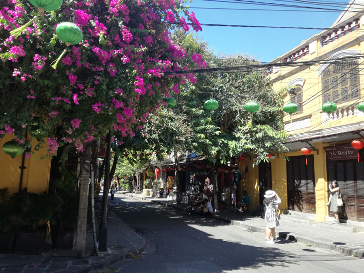 flowers in hoi an so colorful