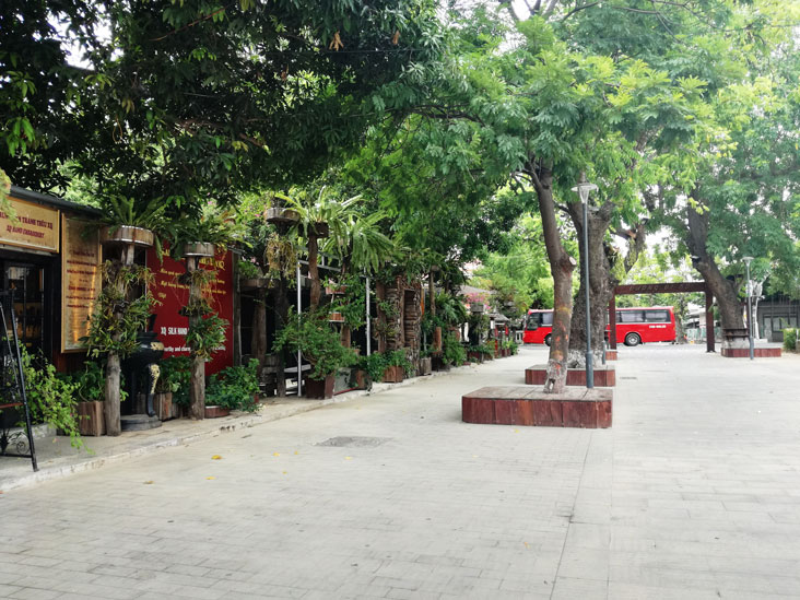 nice place with green close to the river in hue