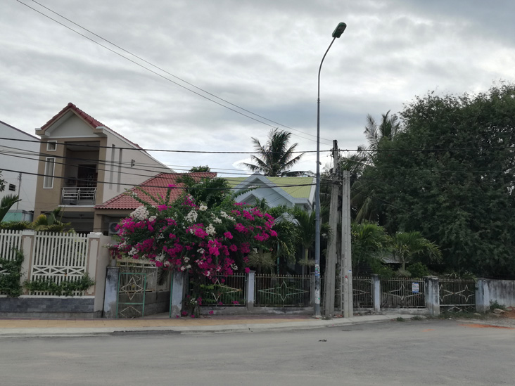 colorful plants in po klong garai