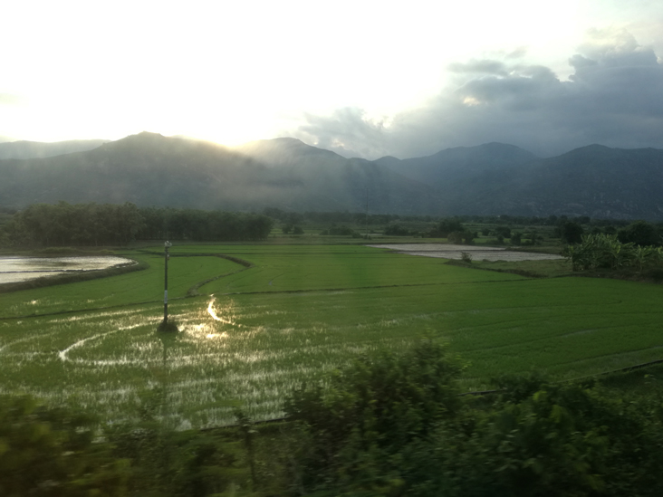 rice field in vietnam, we could see it on the way from Nha trang to Po Klong garai