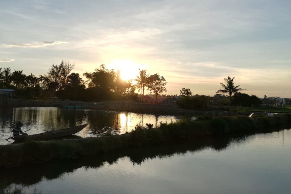 Impressive Rice Paddies in Vietnam